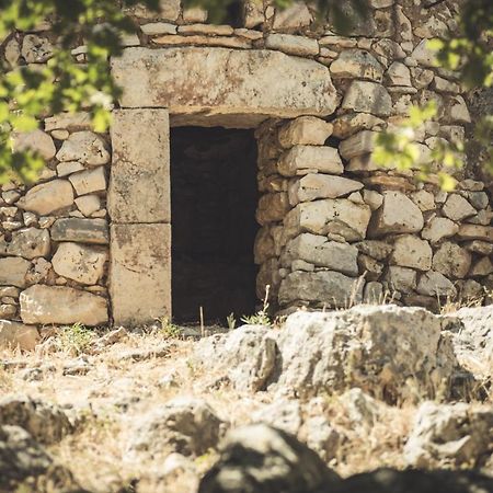 Masseria Storica Pilapalucci Toritto Eksteriør bilde