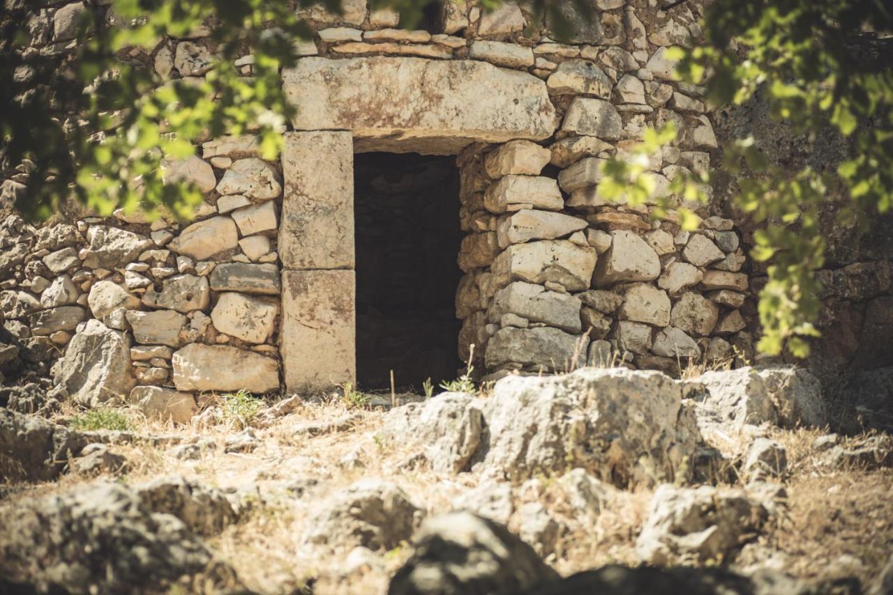 Masseria Storica Pilapalucci Toritto Eksteriør bilde